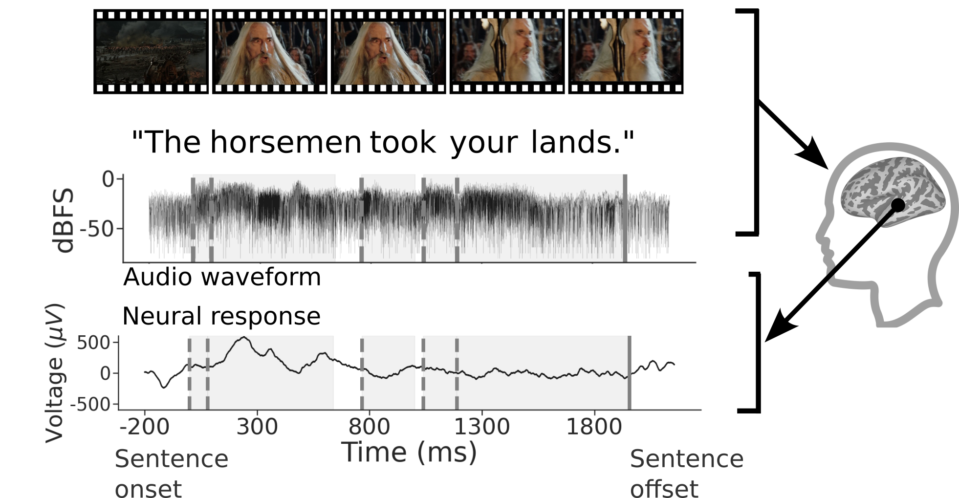 Brain TreeBank: Intracranial recordings of neural activity with multimodal stimulus