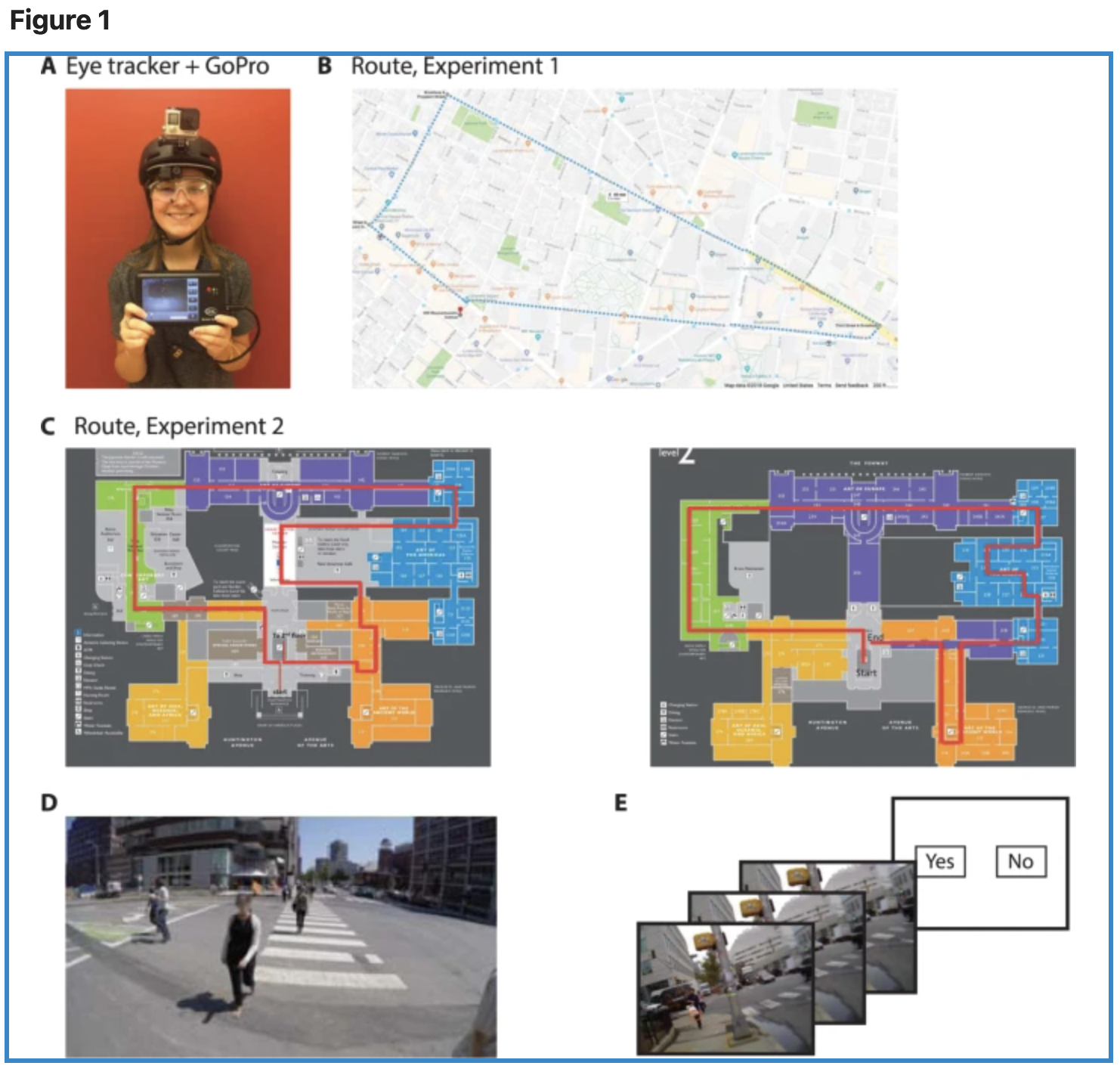 Minimal memory for details in real life events