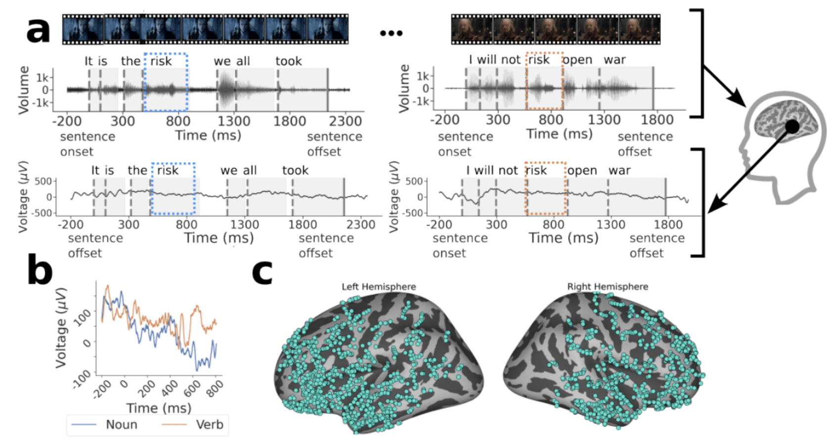 Neural processing of nouns and verbs with large-scale intracranial recordings