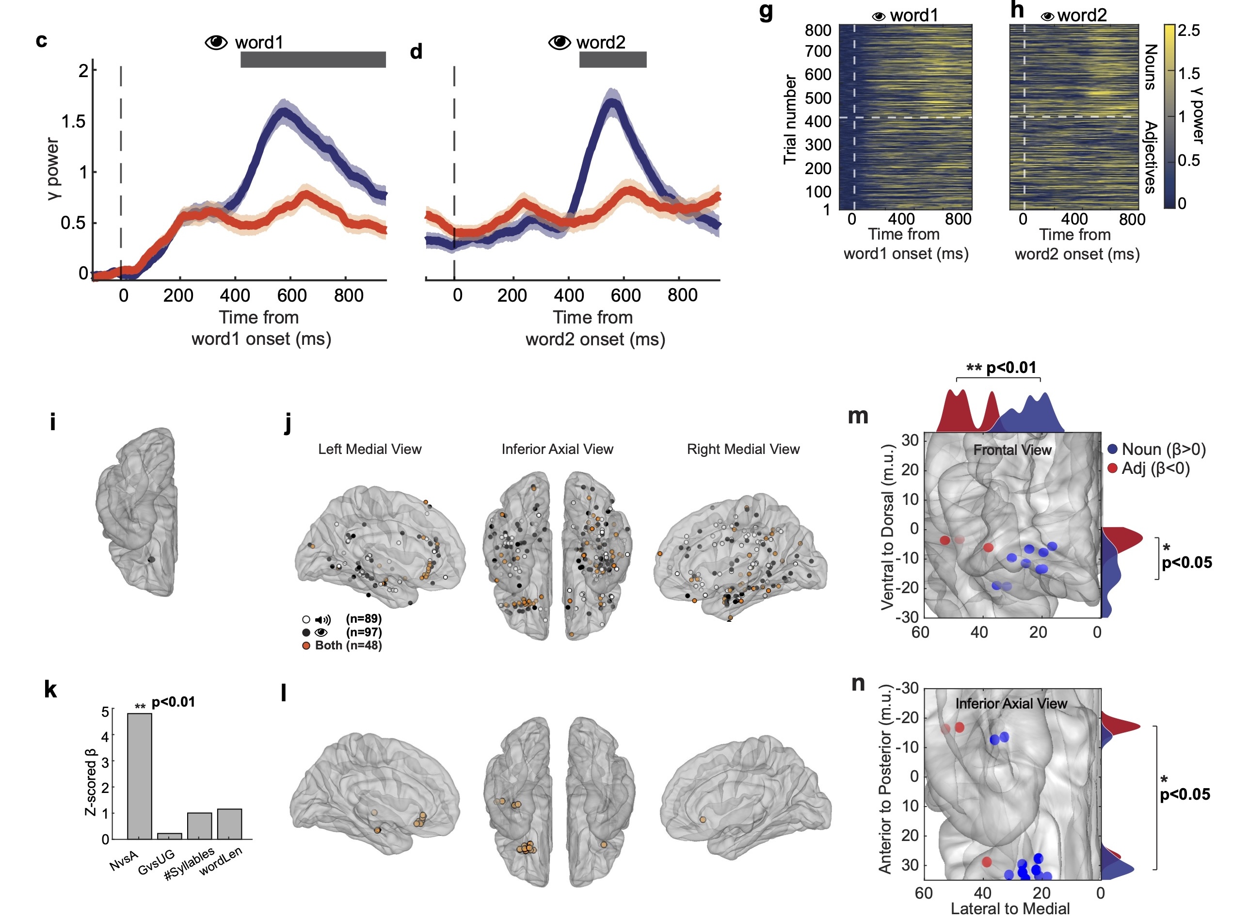 Invariant neural representation of parts of speech in the human brain