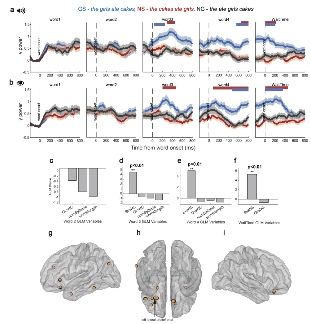 Multimodal syntactic and semantic processing of sentences in the human brain
